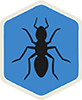 Bugman Ant Extermination