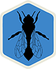 Bugman Bees Extermination
