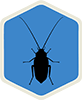 Bugman Cockroaches Extermination