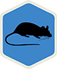 Bugman Rodents Extermination